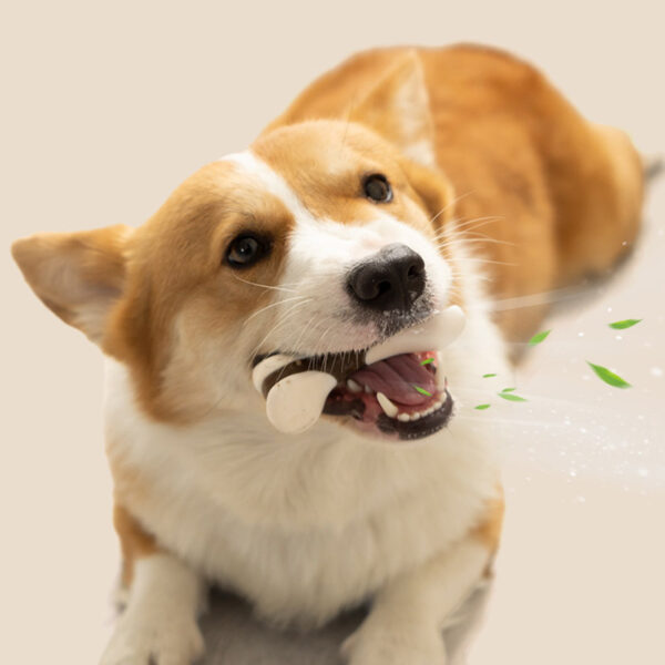 Factory Dog Chew Toys - Beefhide Dental Chew Bones for Teeth Cleaning and Gum Health - Image 5