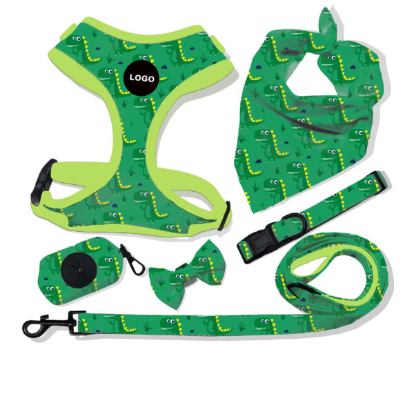 dog collar leash harness